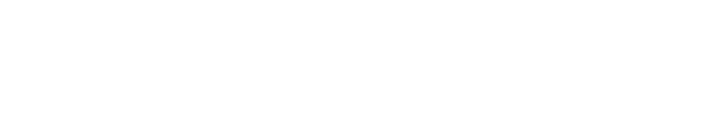 nocode startup FlutterFlow